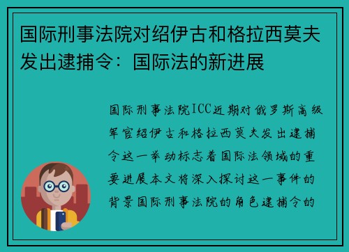 国际刑事法院对绍伊古和格拉西莫夫发出逮捕令：国际法的新进展