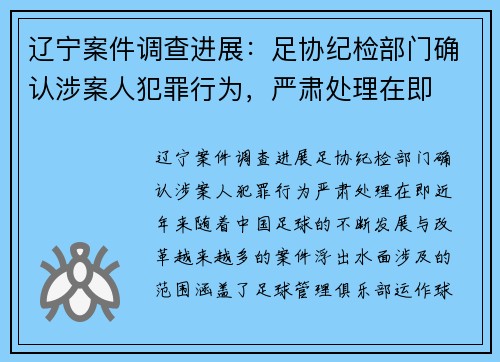 辽宁案件调查进展：足协纪检部门确认涉案人犯罪行为，严肃处理在即